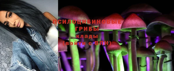 дживик Бронницы