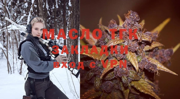дживик Бронницы