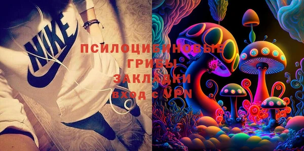 дживик Бронницы