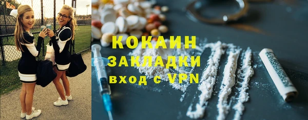 дживик Бронницы